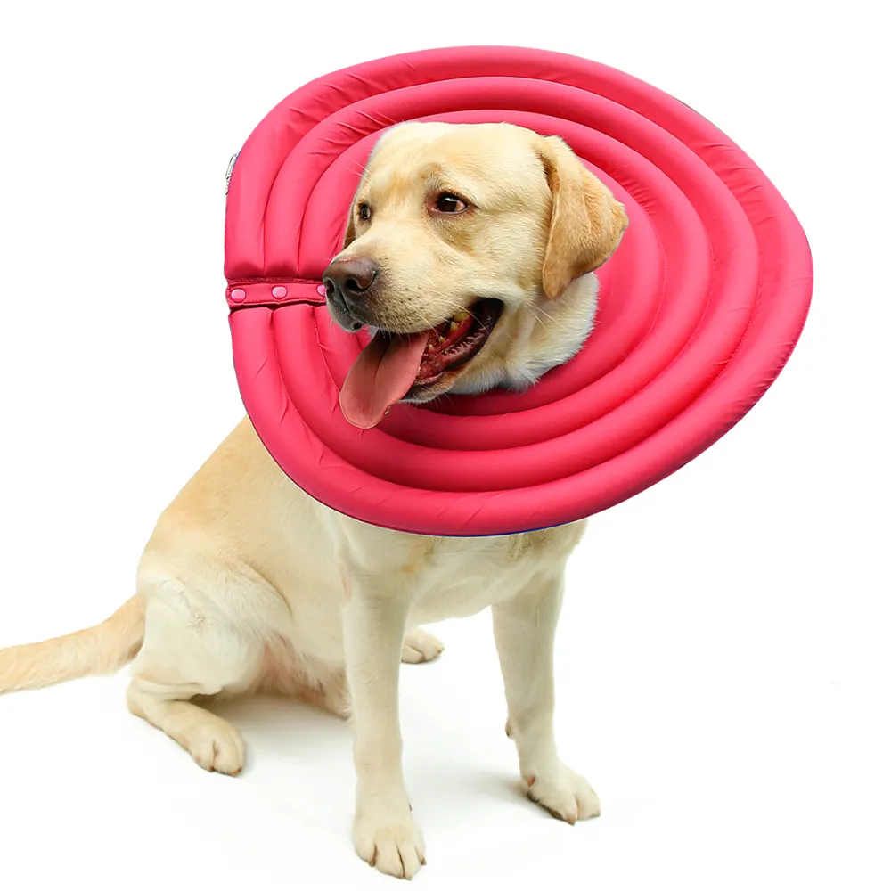 Comfy Dog Cones