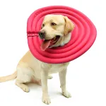 Comfy Dog Cones