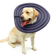 Comfy Dog Cones08