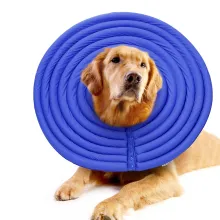 Comfy Dog Cones05