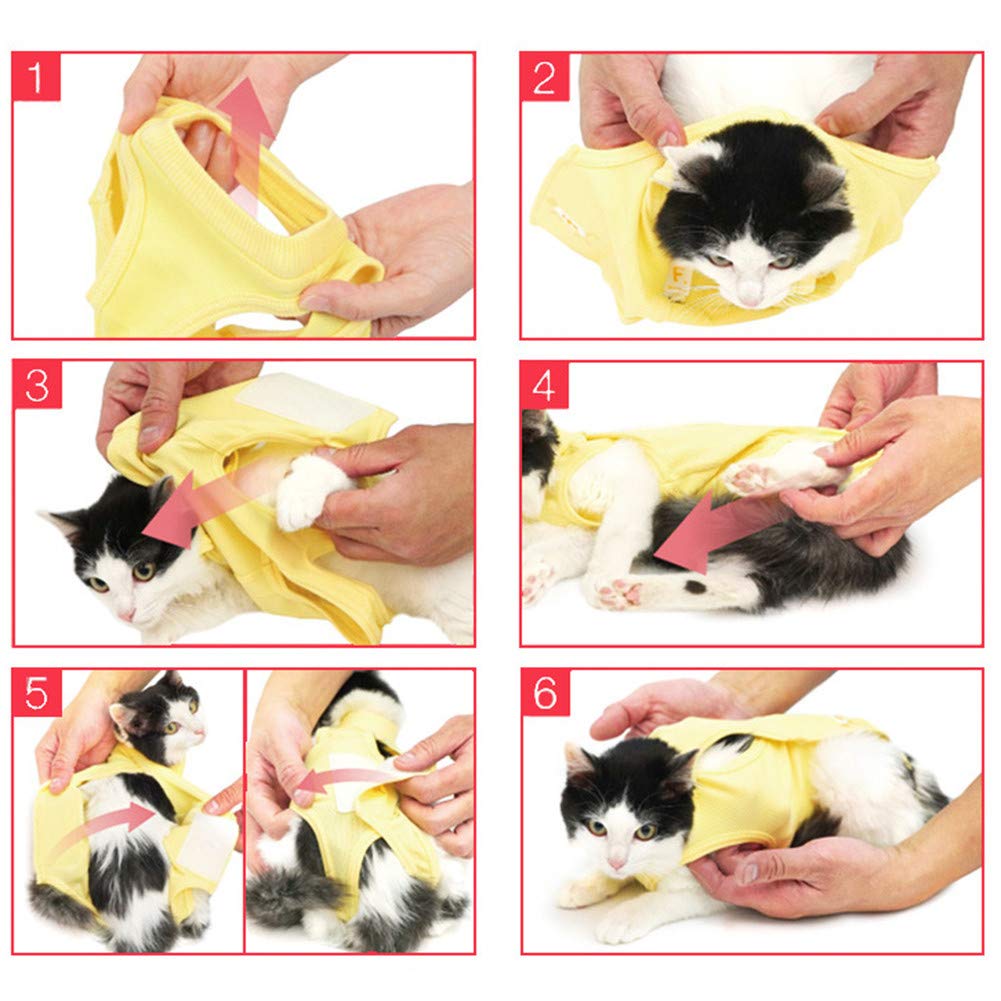 Cat Recovery Suit for Anti Licking Wounds
