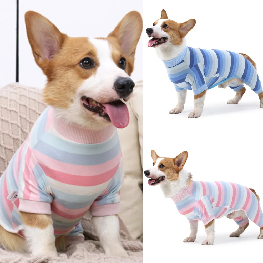 Dog Recovery Suit for Breathable Anti Licking