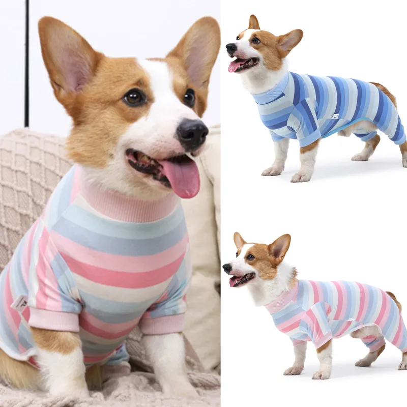 Dog Recovery Suit for Breathable Anti Licking