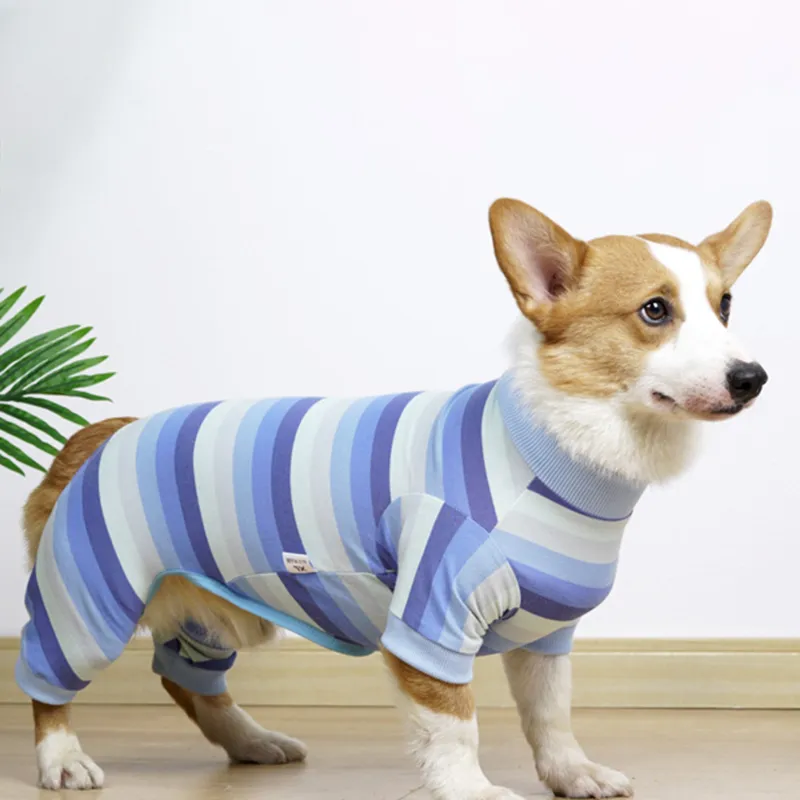 Dog Recovery Suit for Breathable Anti Licking