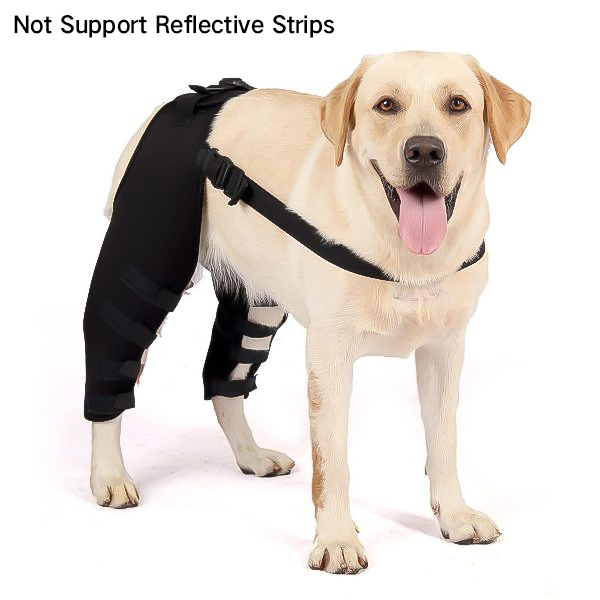 Dog Acl Brace Fix Joint Damage Knee Braces for Dogs
