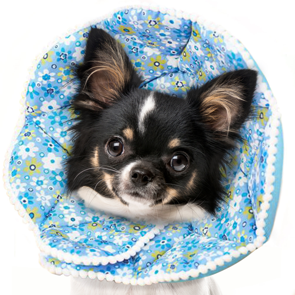 Elizabethan Collar for Cats Dogs