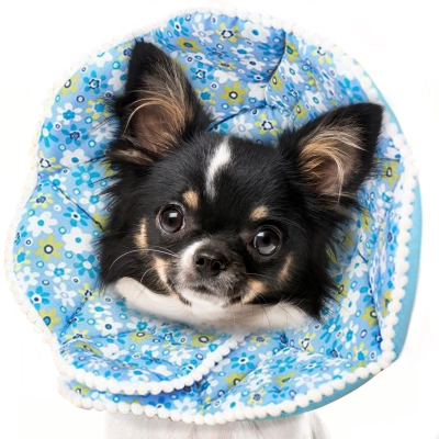 Elizabethan Collar for Cats Dogs 02