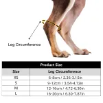 Dog NO-Knuckling Training Brace