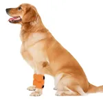 Dog Leg Wrap Postoperative Wrist Joint Hock Warmer