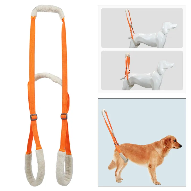 Dog Sling For Back Legs Lift Harness04