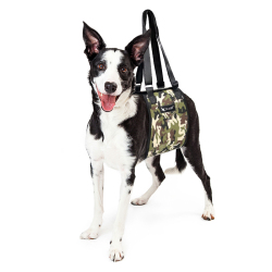 TAILUP Dog Lift Harness for Waist Auxiliary