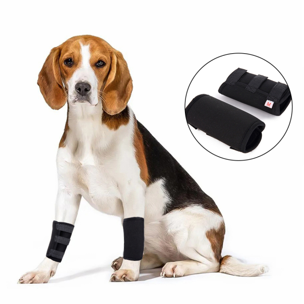 Dog Leg Braces for Fix Front Carpus Sprains