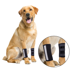 Dog Leg Braces for Fix Front Carpus Sprains