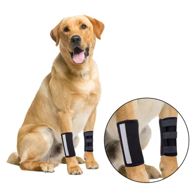 Dog Leg Braces for Fix Front Carpus Sprains 01