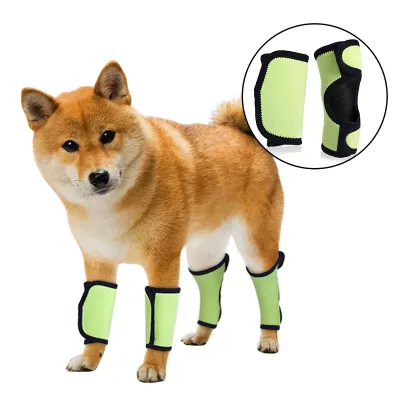 Dog Leg Brace for Hock Wrist Joint Protection 01