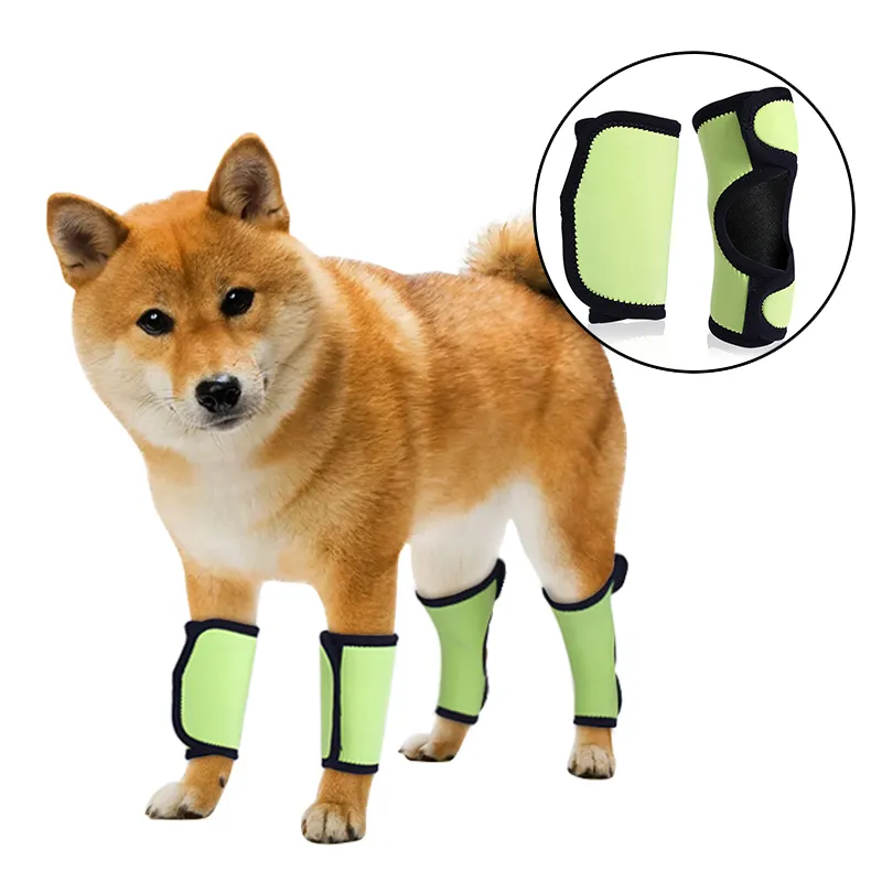 Dog Leg Brace for Hock Wrist Joint Protection00