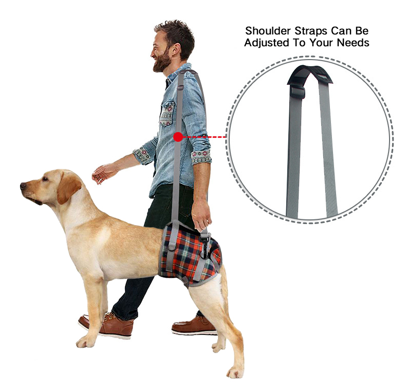 Dog Lift Harness for Hind Legs