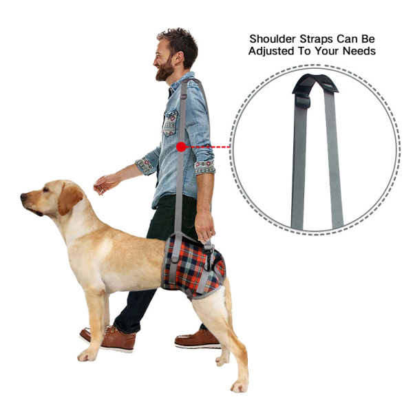 Dog Lift Harness for Hind Legs