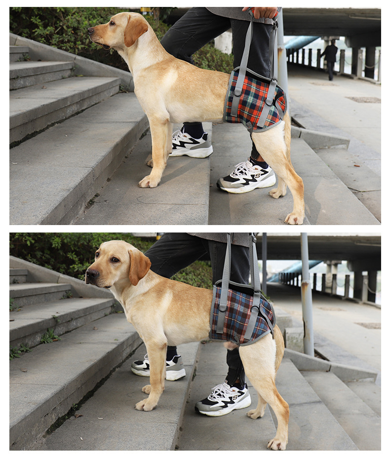 Dog Lift Harness for Hind Legs