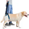 Dog Sling For Back Legs Harness