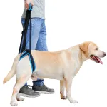 Dog Sling For Back Legs Harness