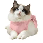 Cat Recovery Suit for Anti Licking Wounds