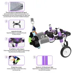 Advanced Dog Wheelchairs For Small Dogs