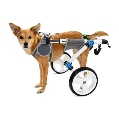 Fordable Dog Wheelchairs For Dog Back Legs 01