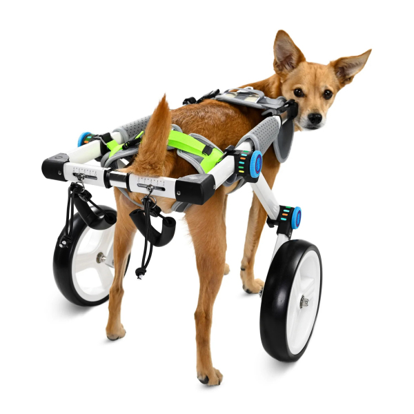 Fordable Dog Wheelchairs For Dog Back Legs