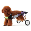 Dog Wheelchairs for Dog Back Legs Disability Weakness