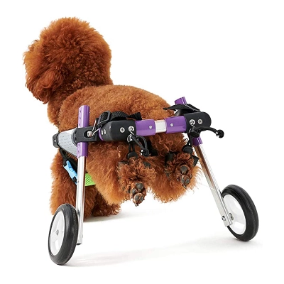 Advanced Dog Wheelchairs For Small Dogs 02