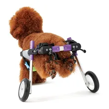 Advanced Dog Wheelchairs For Small Dogs01