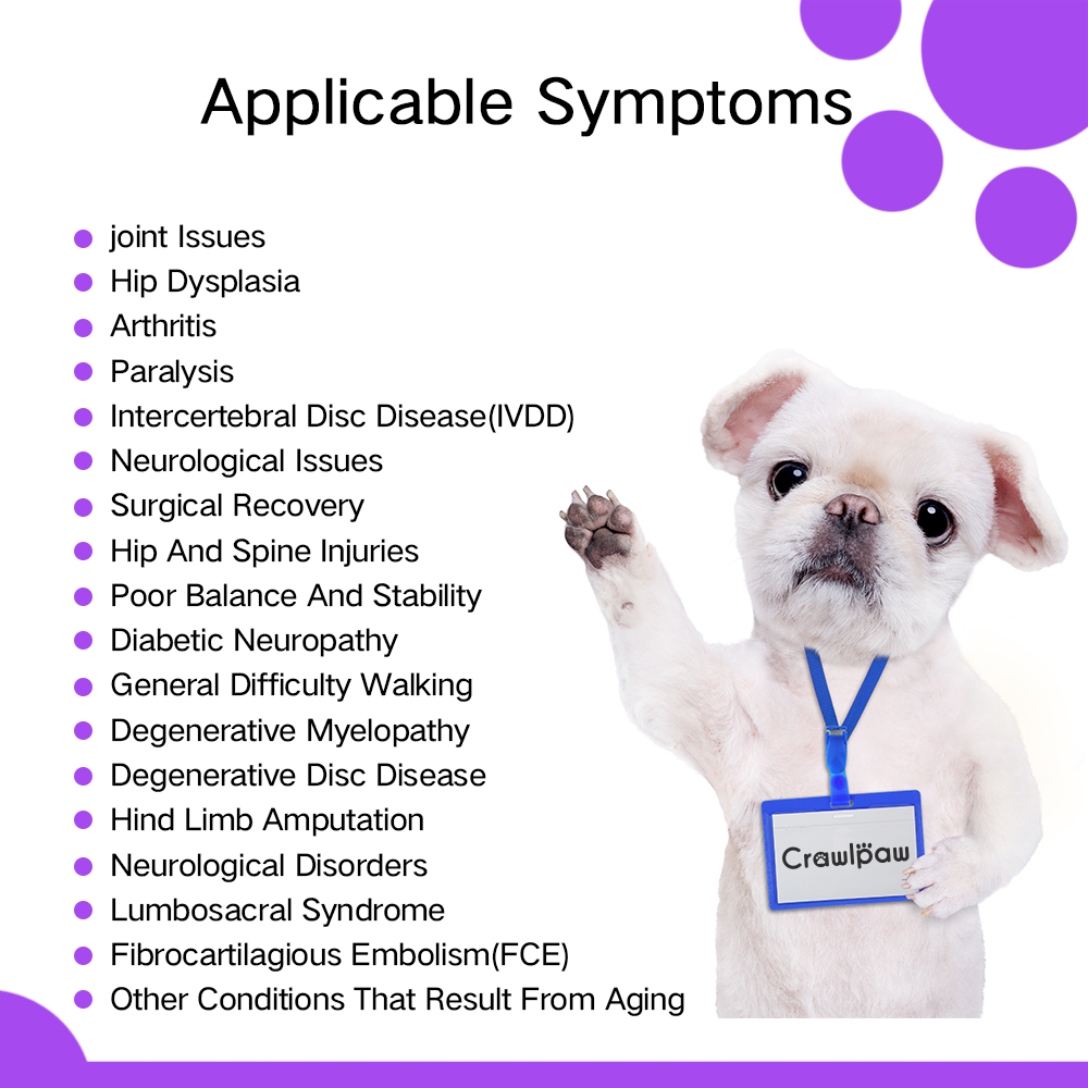 Advanced Dog Wheelchairs For Small Dogs