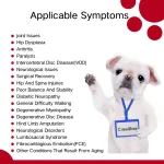 Dog Wheelchairs for Dog Back Legs Paralyzed