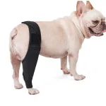 DOGLEMI Dog Rear Leg Brace for Fix Patella Dislocation