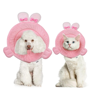 Cat Dog Cones for Rabbit Shaped 01