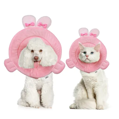 Cat Dog Cones for Rabbit Shaped