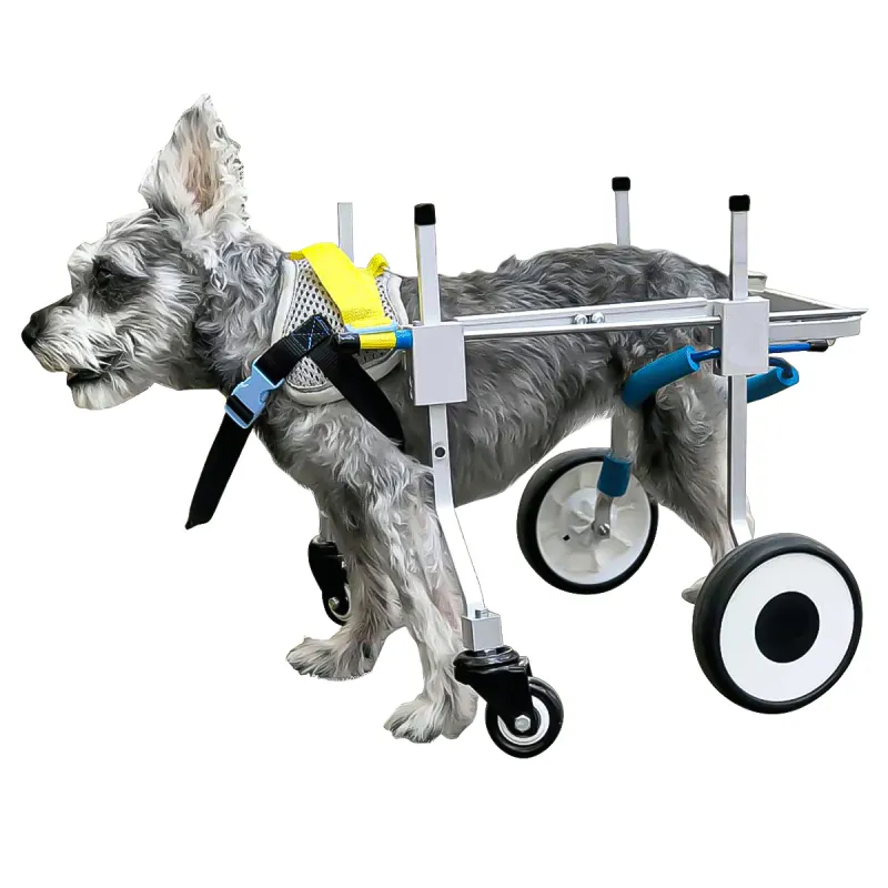 Dog Wheelchairs for Dog Leg Paralyzed Weakness00