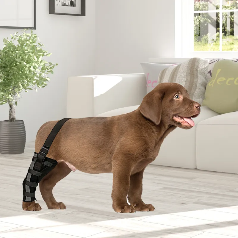 Dog Leg Brace with Reflective Metal Support06