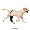 Dog Leg Brace with Reflective Metal Support