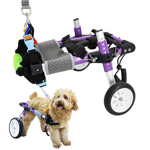 Advanced Dog Wheelchairs For Small Dogs