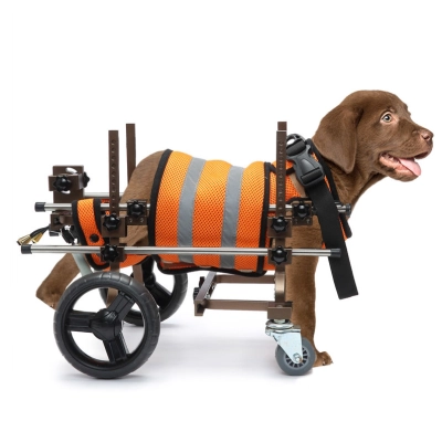 Dog Wheelchairs for Dog Hind Legs Weak Paralyzed 01