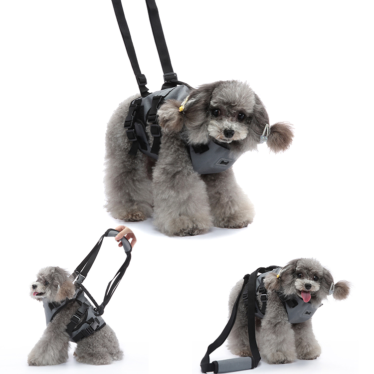Dog Lift Harness for Front Leg Support Crawlpaw