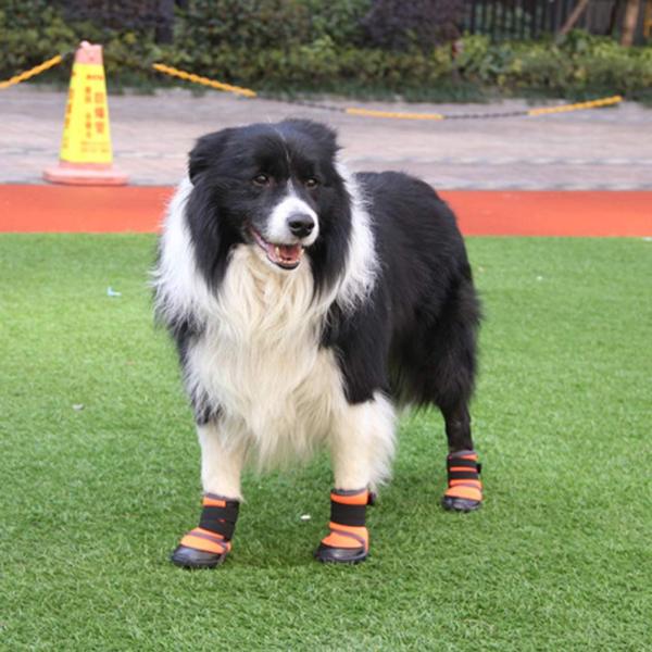 Waterproof Dog Boots For Hiking