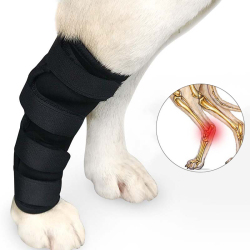 DOGLEMI Dog Hock Braces Fix Hock Joint Damage