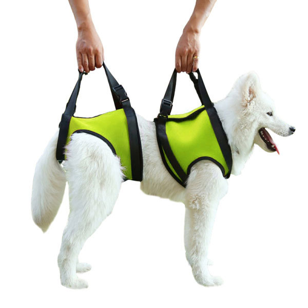 TAILUP Dog Lift Harness for Dog Front Back Leg