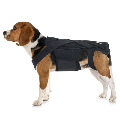 Dog Back Brace for IVDD 01