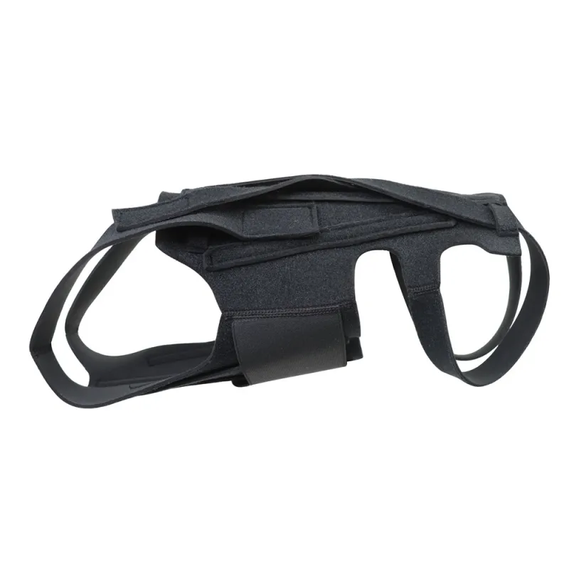 Dog Back Brace for IVDD05