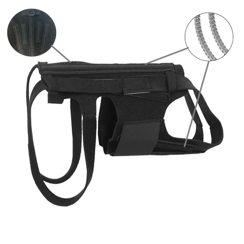 Dog Back Brace for IVDD04