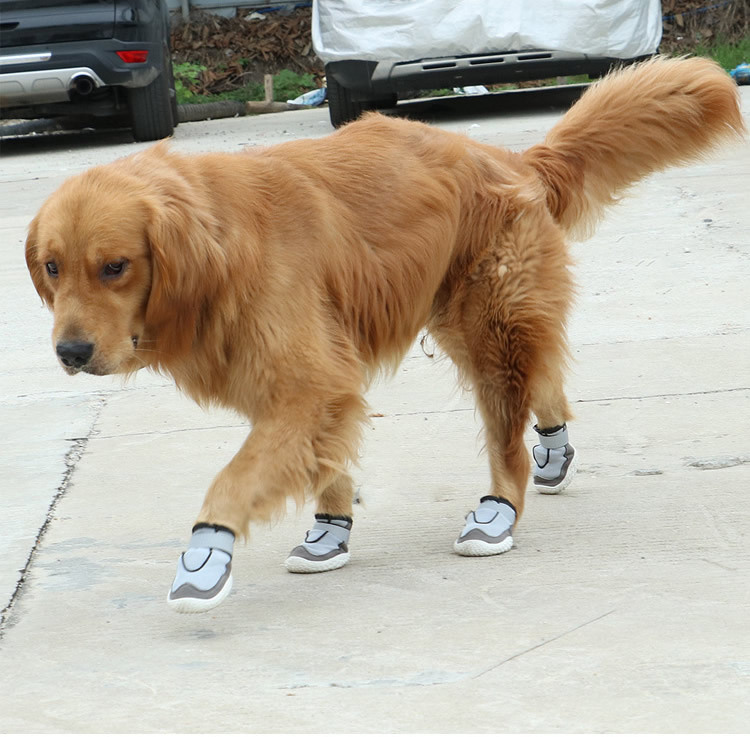 Dog Hiking Boots